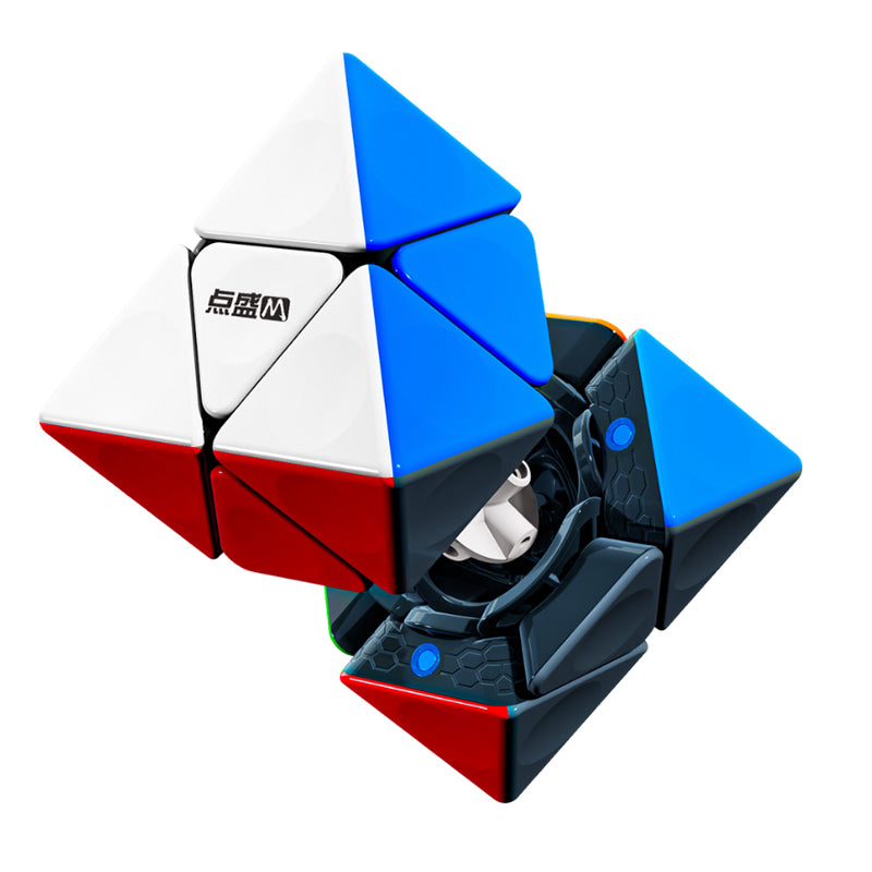 Diansheng Magnetic 2x2 FTO