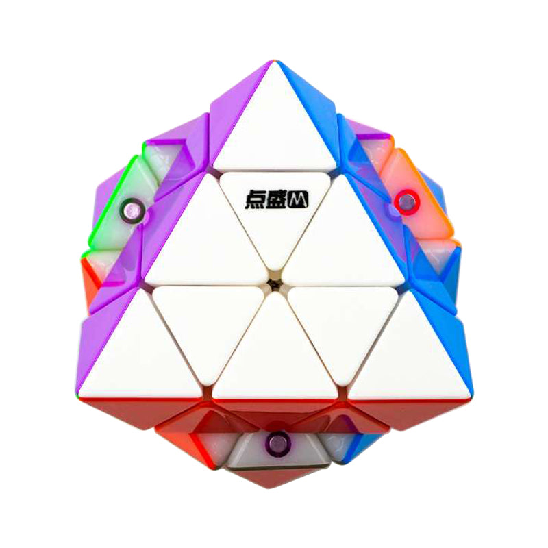 Diansheng Magnetic FTO